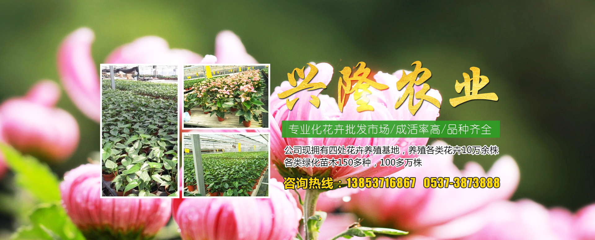 北京保生源科技有限公司